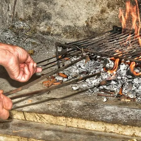 Zana * Pisak