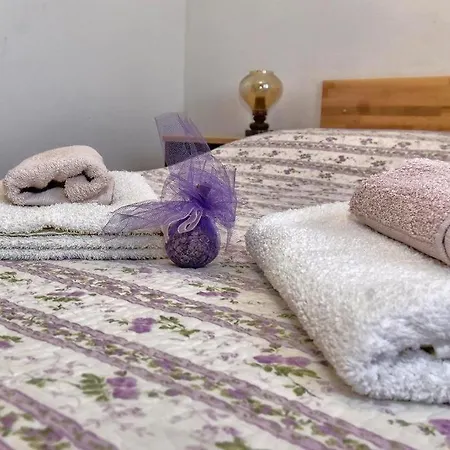 Apartament Zana