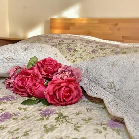 Apartament Zana *